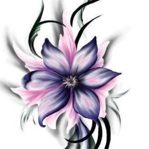 Meet your Posher, Ari